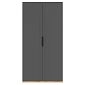 Шкаф распашной Астрис-3 Графит