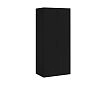 Шкаф распашной Терни-2 Черный