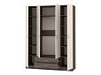 Шкаф распашной Рио-4.7