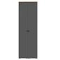 Шкаф распашной Квели 2 Графит