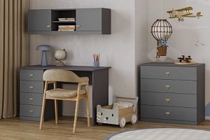 детская Стрекоза-3 Графит