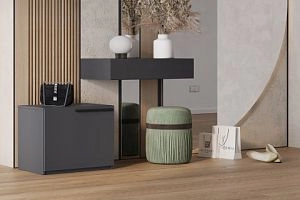 Лорена Пакс-1 Графит