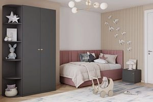 детская Стрекоза-2 Графит