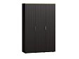 Шкаф распашной Салерно 3 Черный