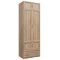 Шкаф распашной Карлос-042 Дуб Сонома