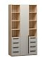 Шкаф распашной Хейсон-28 Кашемир Блэквуд Ячменный