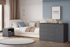 детская Стрекоза-4 Графит