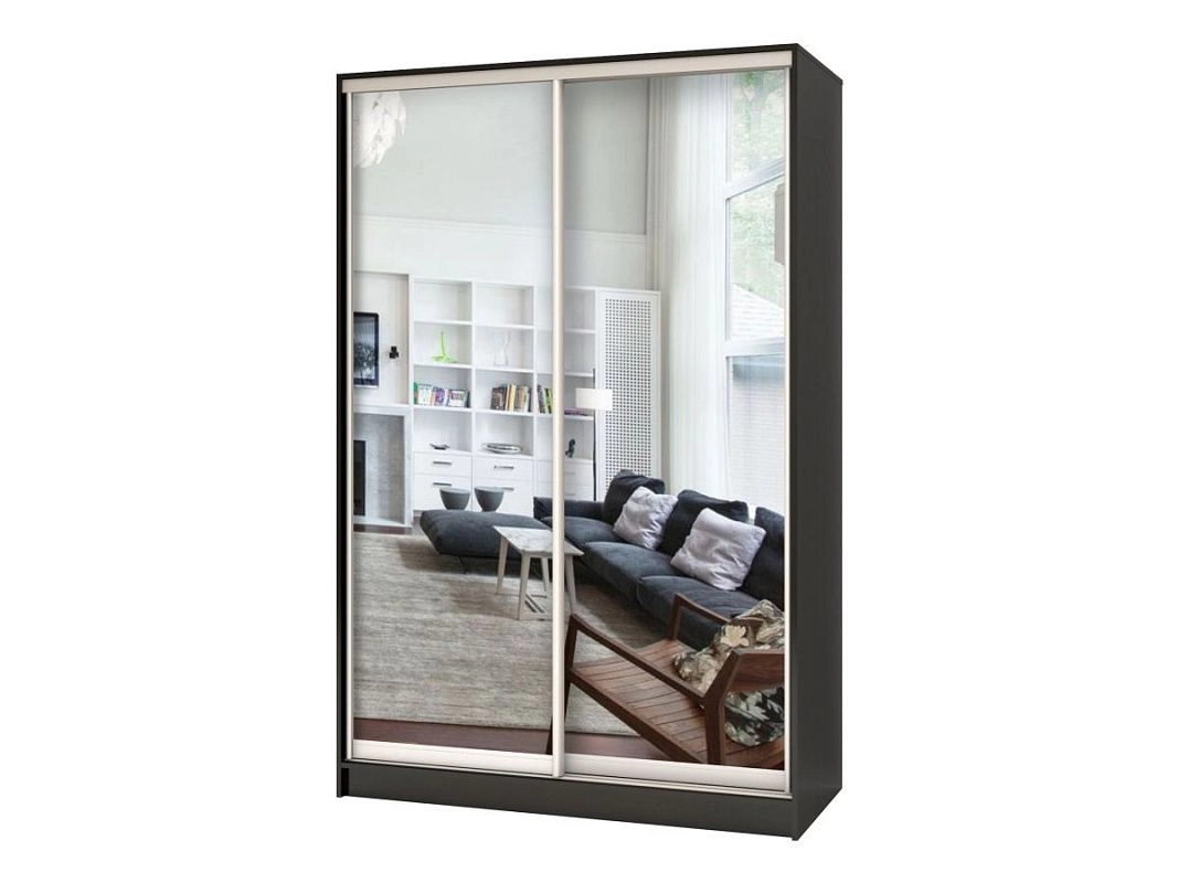 Шкаф-купе Стандарт-2.3 - фото 1