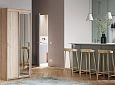 Шкаф-купе Миллениум-2 Дуб Сонома