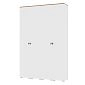 Шкаф распашной Квели 4.1 Белый