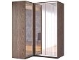 Шкаф-купе угловой Премьер-1