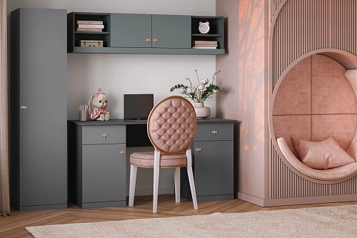 Стенка детская Стрекоза-11 Графит - фото 1