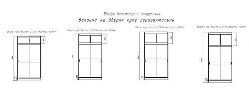 Шкаф-купе Валмиера-4А - фото 3