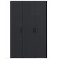 Шкаф распашной Синтра 3 Черный