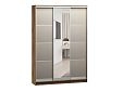 Шкаф-купе Борнео-3.4 Дуб Делано/Серебро