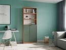 Стеллаж Билли Стольмин 23 Шарли Green