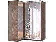 Шкаф-купе угловой Премьер-10