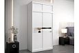 Шкаф-купе Бенито-1А Белый